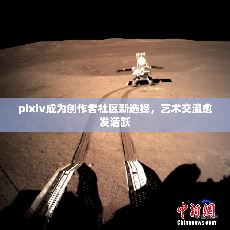 pixiv成为创作者社区新选择，艺术交流愈发活跃