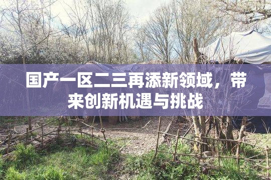 国产一区二三再添新领域，带来创新机遇与挑战