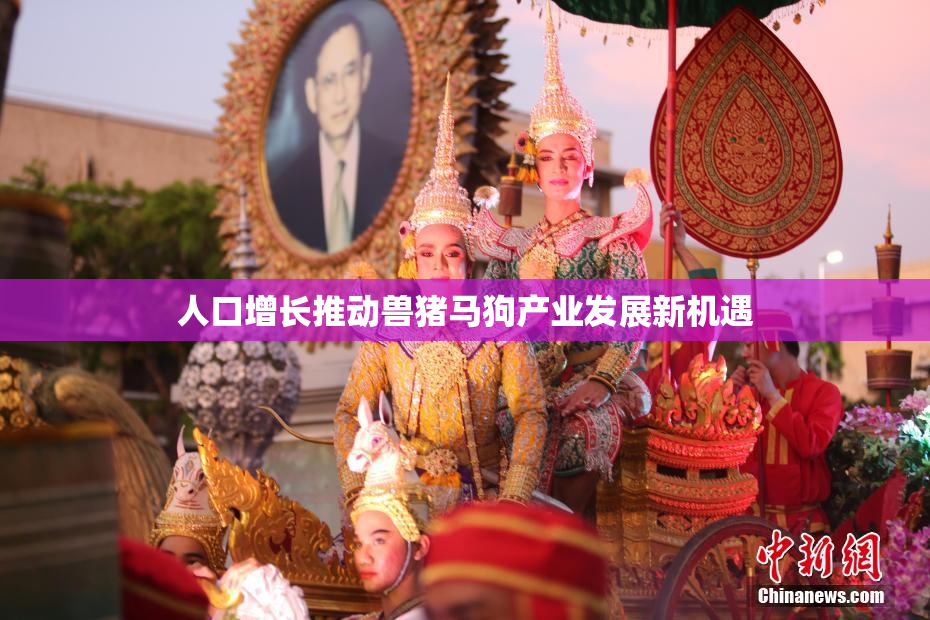 人口增长推动兽猪马狗产业发展新机遇