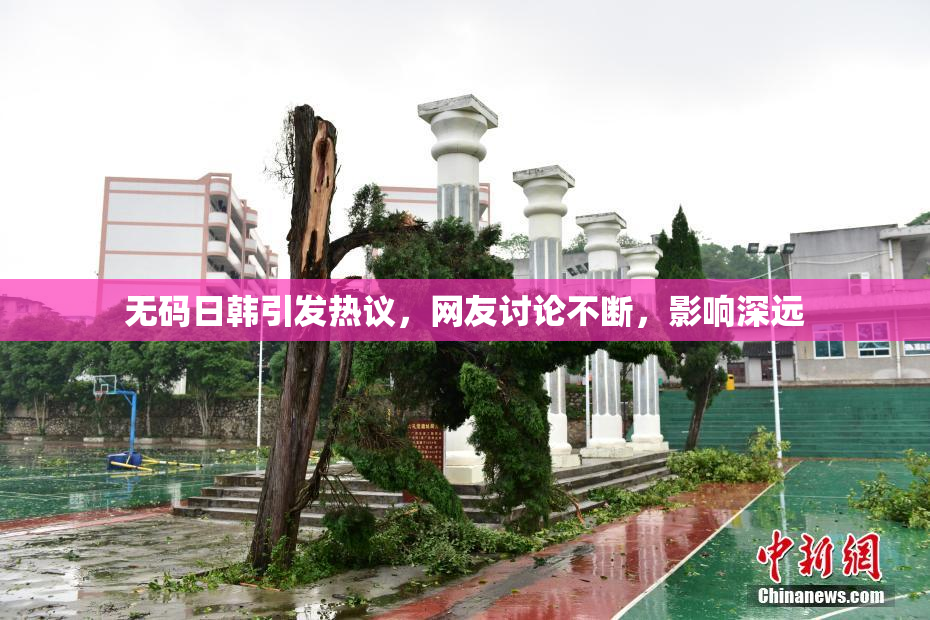 无码日韩引发热议，网友讨论不断，影响深远