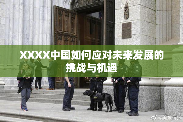 XXXX中国如何应对未来发展的挑战与机遇