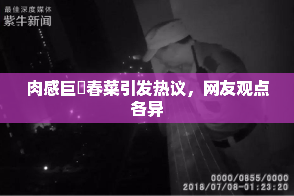 肉感巨凥春菜引发热议，网友观点各异