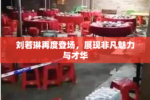 刘若琳再度登场，展现非凡魅力与才华