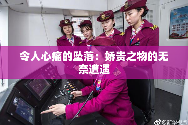 令人心痛的坠落：娇贵之物的无奈遭遇
