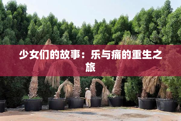 少女们的故事：乐与痛的重生之旅