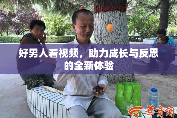 好男人看视频，助力成长与反思的全新体验