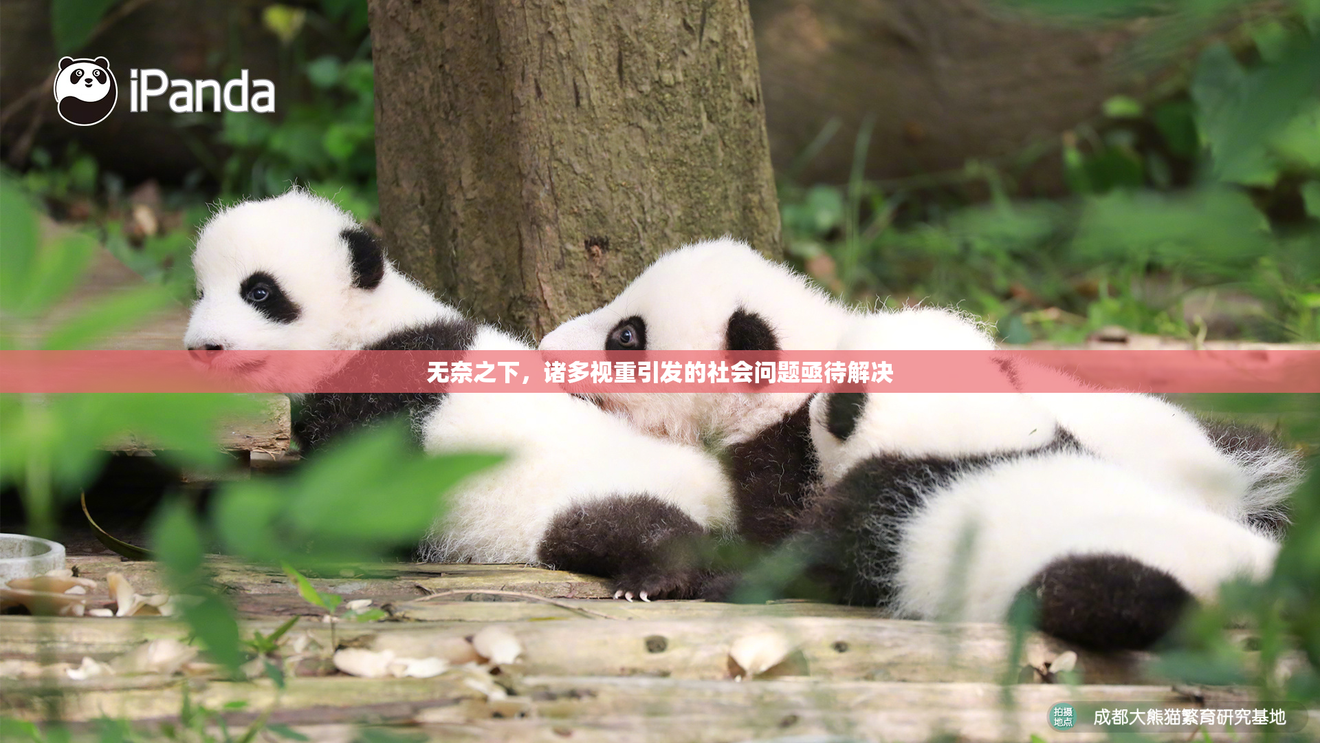 无奈之下，诸多视重引发的社会问题亟待解决