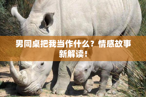 男同桌把我当作什么？情感故事新解读！