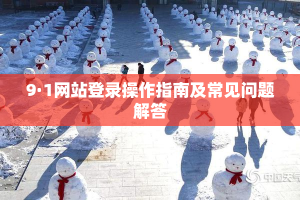 9·1网站登录操作指南及常见问题解答