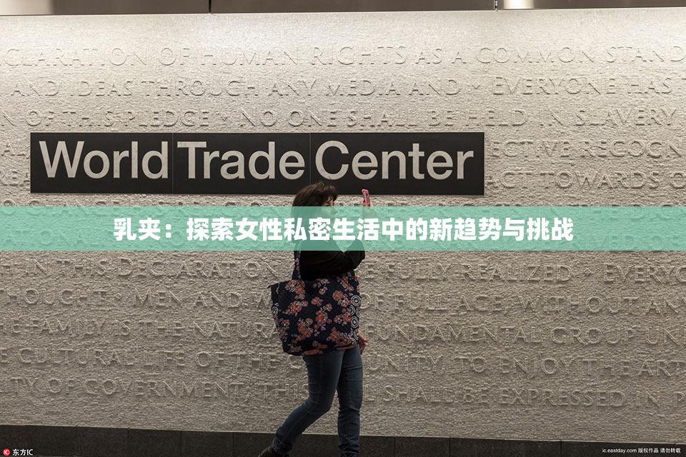 乳夹：探索女性私密生活中的新趋势与挑战