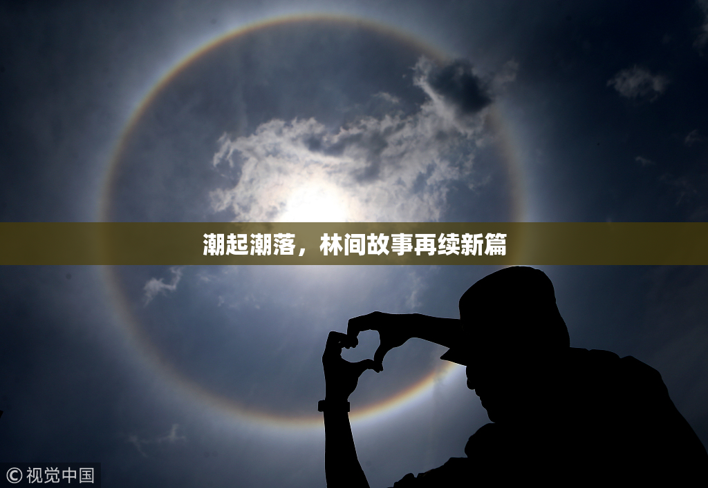 潮起潮落，林间故事再续新篇
