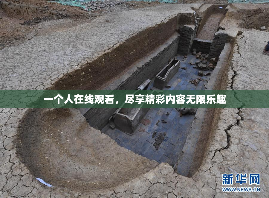一个人在线观看，尽享精彩内容无限乐趣