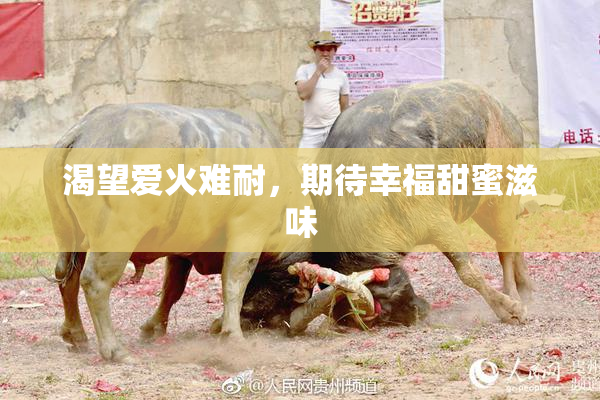 渴望爱火难耐，期待幸福甜蜜滋味