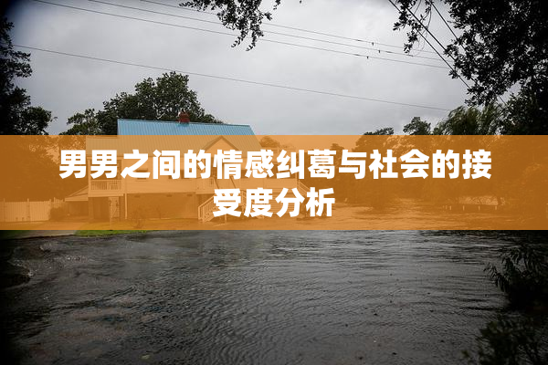 男男之间的情感纠葛与社会的接受度分析