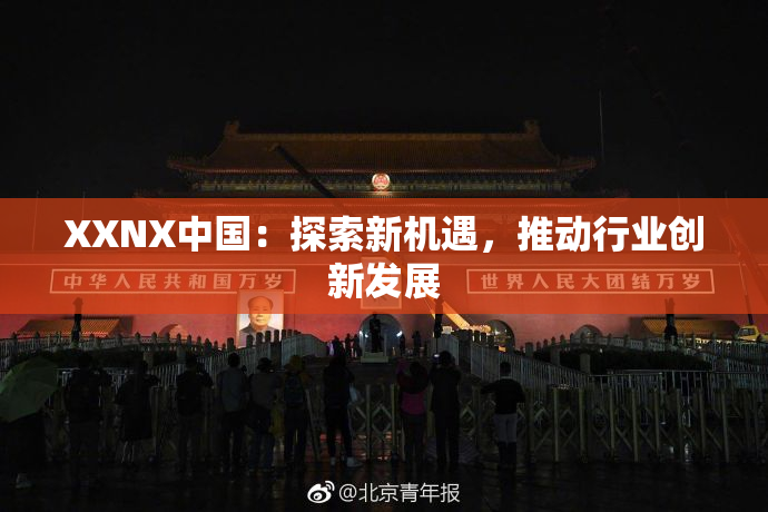 XXNX中国：探索新机遇，推动行业创新发展