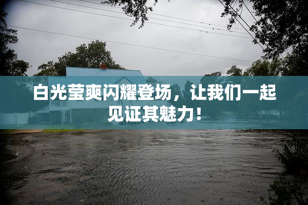 白光莹爽闪耀登场，让我们一起见证其魅力！