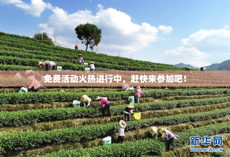 免费活动火热进行中，赶快来参加吧！