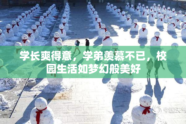 学长爽得意，学弟羡慕不已，校园生活如梦幻般美好