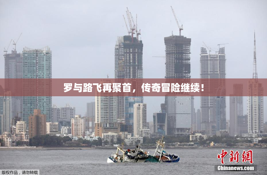 罗与路飞再聚首，传奇冒险继续！