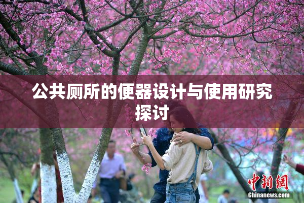 公共厕所的便器设计与使用研究探讨