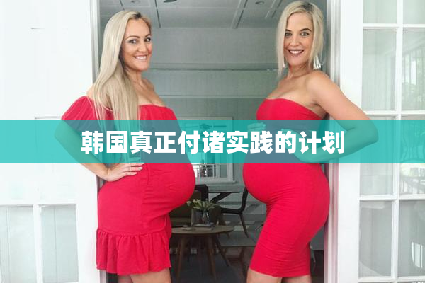 韩国真正付诸实践的计划