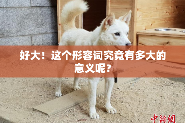 好大！这个形容词究竟有多大的意义呢？
