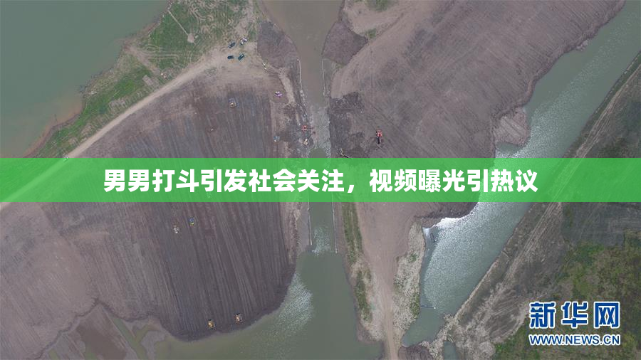 男男打斗引发社会关注，视频曝光引热议