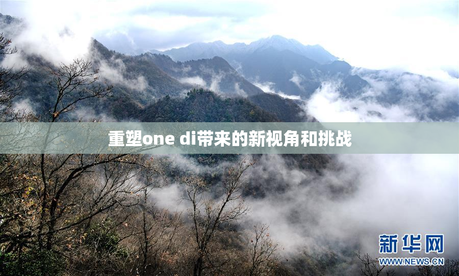 重塑one di带来的新视角和挑战