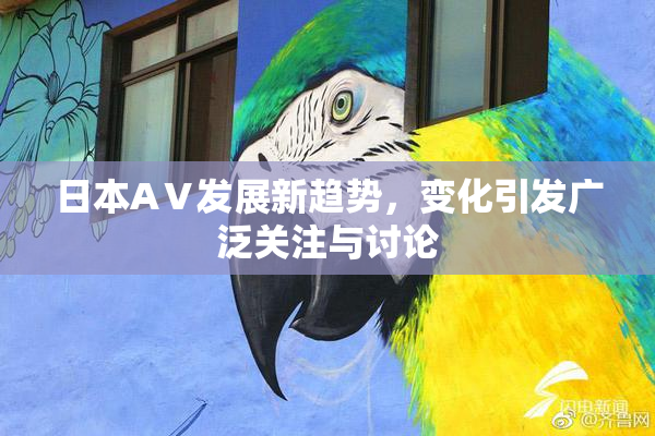 日本AⅤ发展新趋势，变化引发广泛关注与讨论