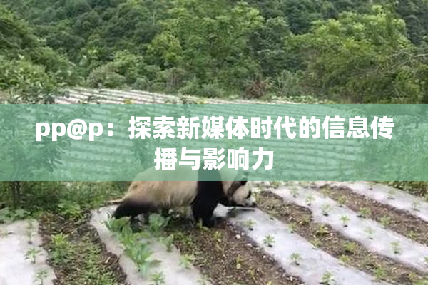 pp@p：探索新媒体时代的信息传播与影响力