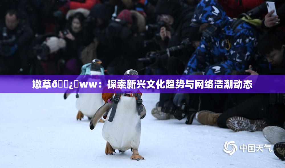 嫩草🌿‌ww：探索新兴文化趋势与网络浩潮动态