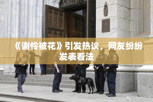 《谢怜被花》引发热议，网友纷纷发表看法