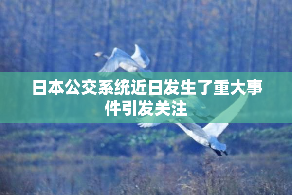 日本公交系统近日发生了重大事件引发关注