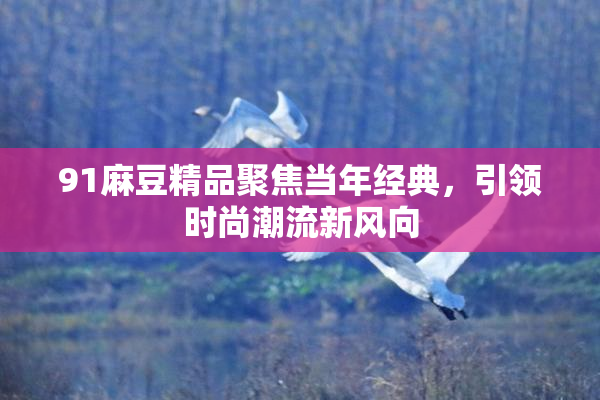 91麻豆精品聚焦当年经典，引领时尚潮流新风向