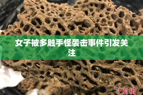 女子被多触手怪袭击事件引发关注