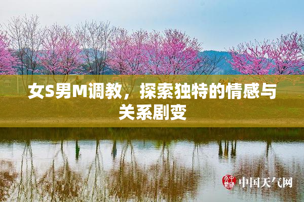女S男M调教，探索独特的情感与关系剧变