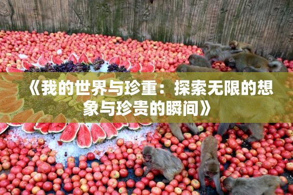 《我的世界与珍重：探索无限的想象与珍贵的瞬间》