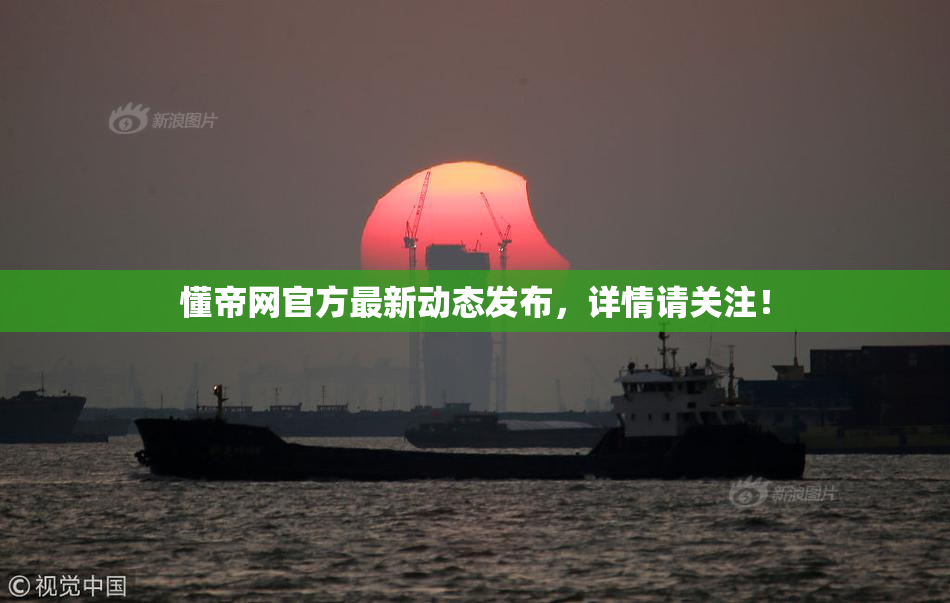 懂帝网官方最新动态发布，详情请关注！