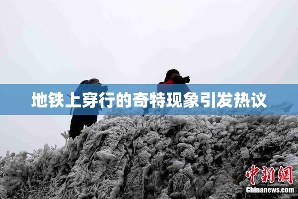 地铁上穿行的奇特现象引发热议