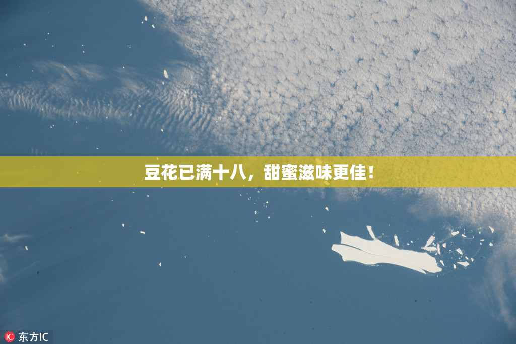 豆花已满十八，甜蜜滋味更佳！