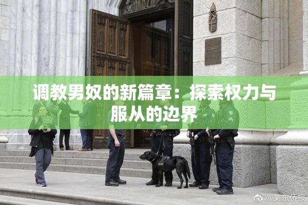 调教男奴的新篇章：探索权力与服从的边界