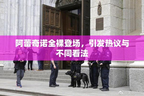 阿蕾奇诺全裸登场，引发热议与不同看法