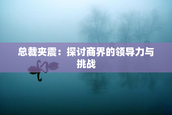 总裁夹震：探讨商界的领导力与挑战