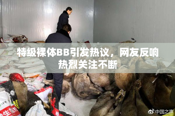 特级裸体BB引发热议，网友反响热烈关注不断