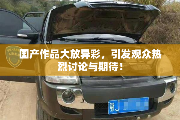 国产作品大放异彩，引发观众热烈讨论与期待！