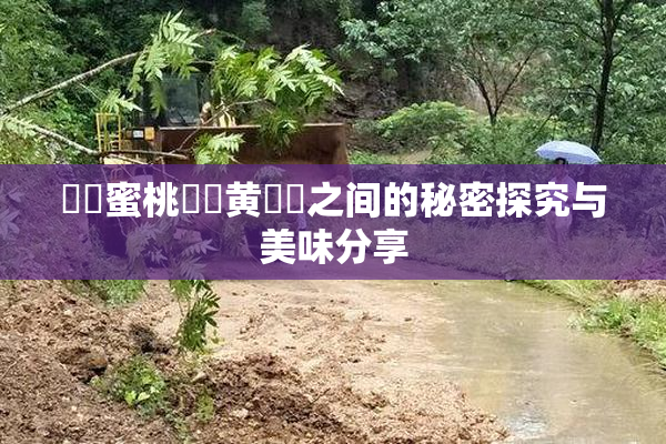❌‌蜜桃❌‌黄❌‌之间的秘密探究与美味分享