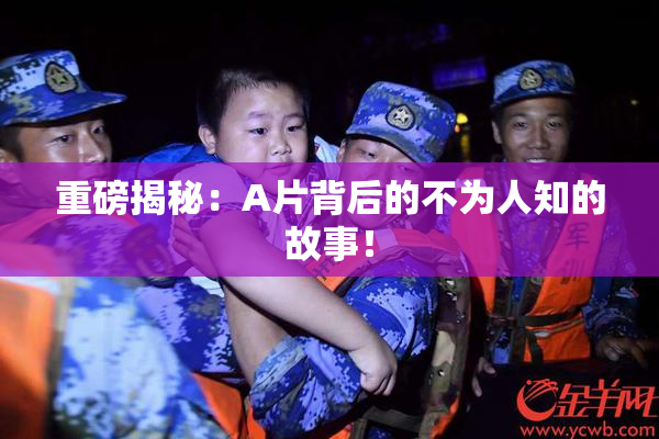 重磅揭秘：A片背后的不为人知的故事！
