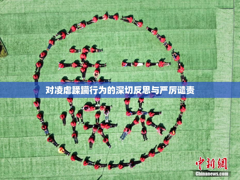 对凌虐蹂躏行为的深切反思与严厉谴责