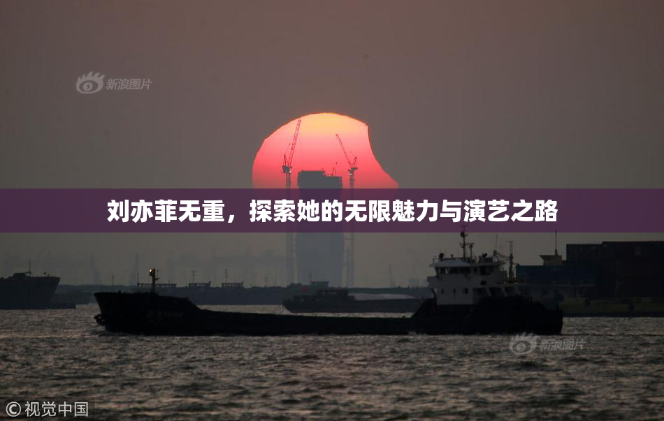 刘亦菲无重，探索她的无限魅力与演艺之路