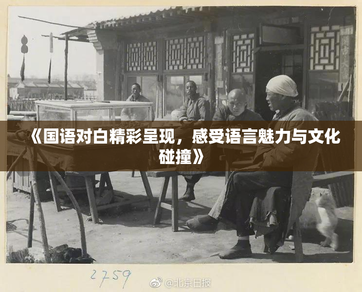 《国语对白精彩呈现，感受语言魅力与文化碰撞》